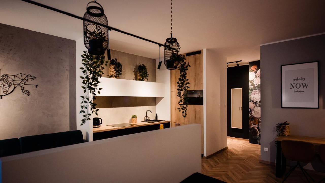 Floral Apartment Kraków Zewnętrze zdjęcie